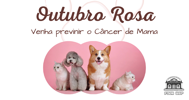 https://fealq.org.br/outubro-rosa-pet-fzea-usp-promove-evento-para-alertar-sobre-prevencao-do-cancer-de-mama-em-cadelas-e-gatas/