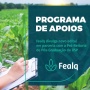 Em parceria com Pró-Reitoria da USP, Fealq lança edital de apoio a publicações de artigos em revistas científicas
