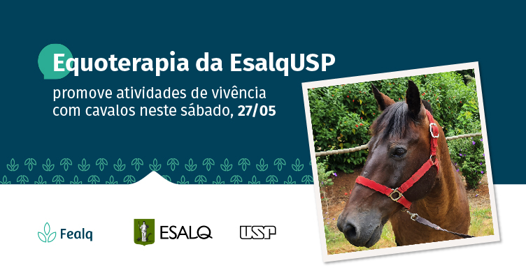https://fealq.org.br/equoterapia-da-esalq-usp-promove-atividades-de-vivencia-com-cavalos-neste-sabado-27/