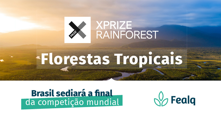 https://fealq.org.br/equipe-brasileira-disputara-final-do-xprize-rainforest-no-amazonas/