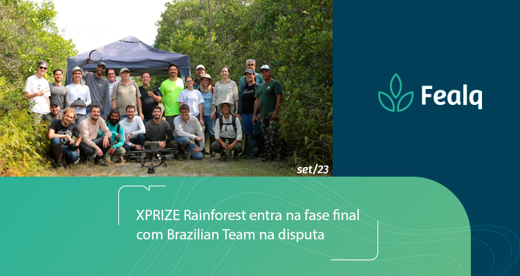 https://fealq.org.br/xprize-rainforest-entra-na-fase-final-com-brazilian-team-na-disputa/