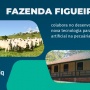 Fazenda Figueira colabora no desenvolvimento de nova tecnologia para inseminação artificial na pecuária