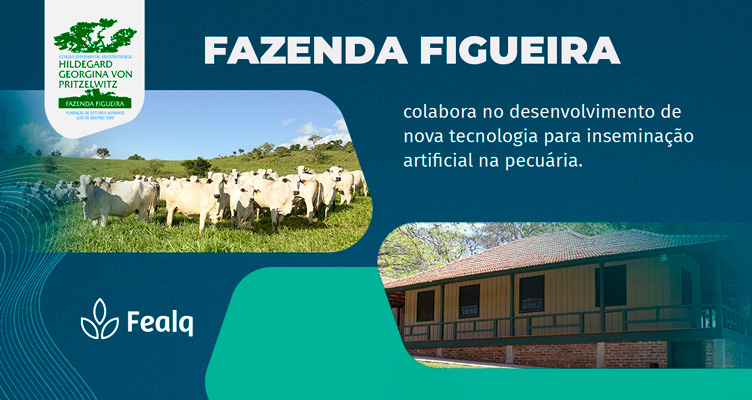 https://fealq.org.br/fazenda-figueira-colabora-no-desenvolvimento-de-nova-tecnologia-para-inseminacao-artificial-na-pecuaria/