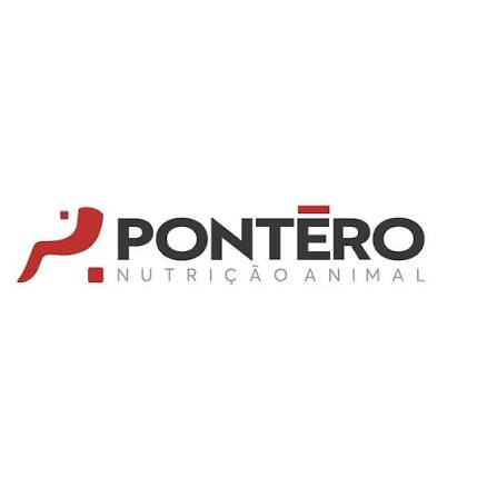 PATROCINADOR BRONZE PATROCINADOR BRONZE