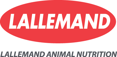 PATROCINADOR DIAMANTE PATROCINADOR DIAMANTE