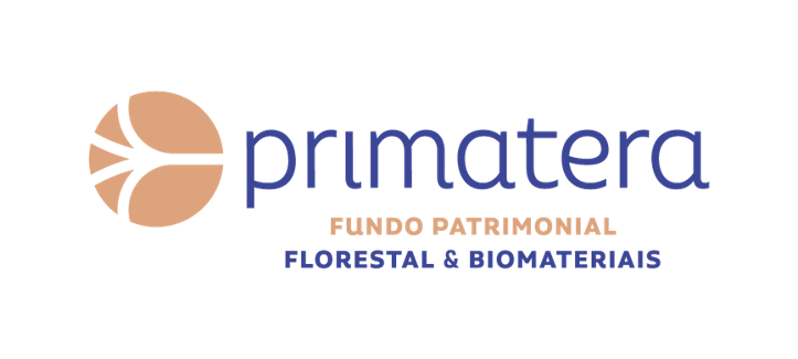 Realização Realização